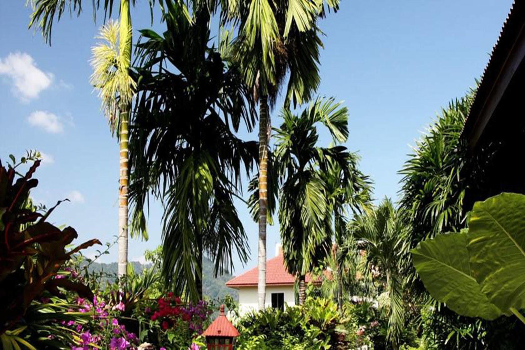 Patong Cottage Resort Exteriör bild